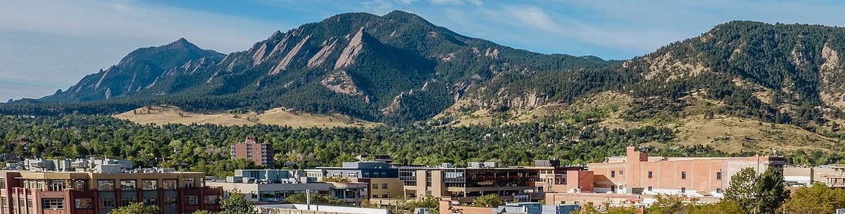 Critter Control in Boulder